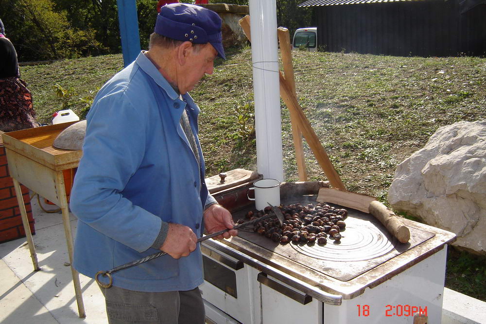 Praznik Kostanja, Vitovlje 2009