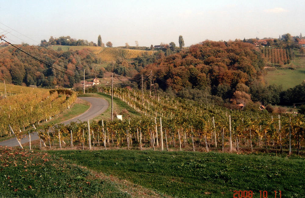 Jeruzalem, Ptuj, 2008